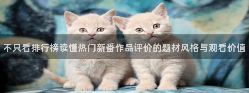 新番动画推荐：不只看排行榜读懂热门新番作品评价的题材风格与观看价值