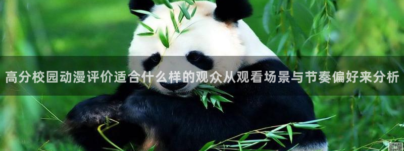 在线动漫大全：高分校园动漫评价适合什么样的观众从观看场景与节奏偏好来分析