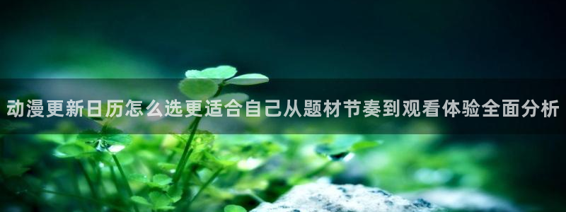 动漫推荐榜:动漫更新日历怎么选更适合自己从题材节奏到观看体验全面分析