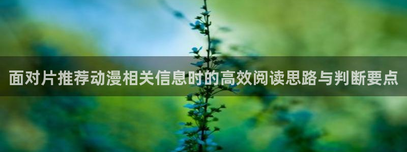 推理动漫:面对片推荐动漫相关信息时的高效阅读思路与判断要点