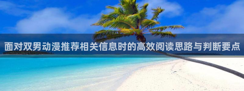动漫人物：面对双男动漫推荐相关信息时的高效阅读思路与判断要点