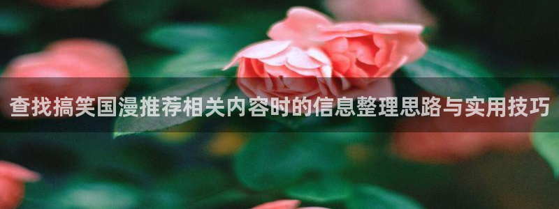 老动漫推荐:查找搞笑国漫推荐相关内容时的信息整理思路与实用技巧