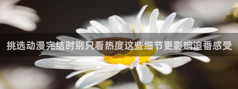 连载动画:挑选动漫完结时别只看热度这些细节更影响追番感受