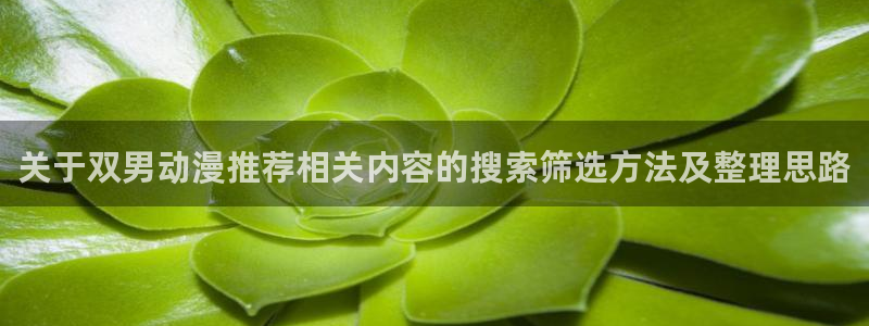 热门动漫在线观看:关于双男动漫推荐相关内容的搜索筛选方法及整理思路