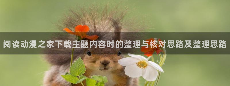 最新新番：阅读动漫之家下载主题内容时的整理与核对思路及整理思路